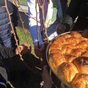 ЗАРЯЗВАНЕ НА ЛОЗИ И ДЪРВЕТА НАПРАВИХА ЦНСТДУ И ЦСРИ КАРЛОВО