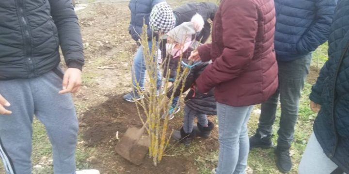 РЕПОРТАЖ ПО БНТ ОТ ЗАЛЕСЯВАНЕТО НА „БАЛИК“ В БАЛЧИК
